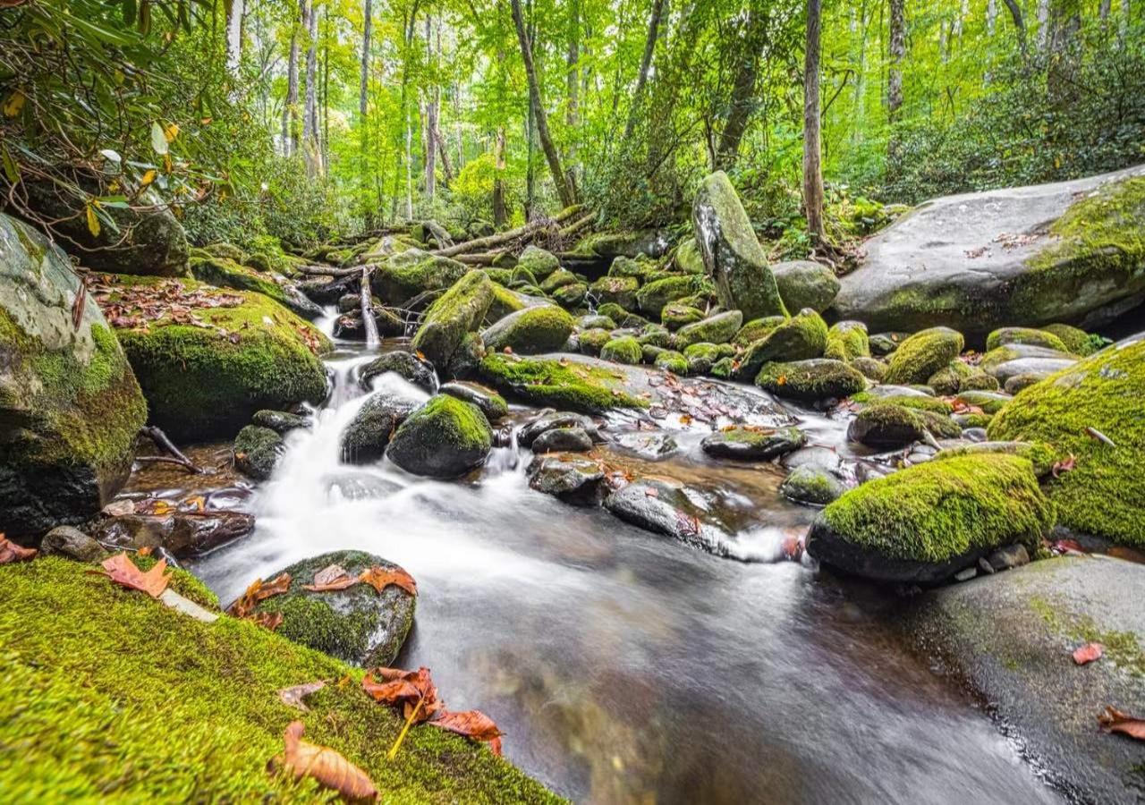 The Grand Orchard Lodge - Gatlinburg, Tn Екстериор снимка