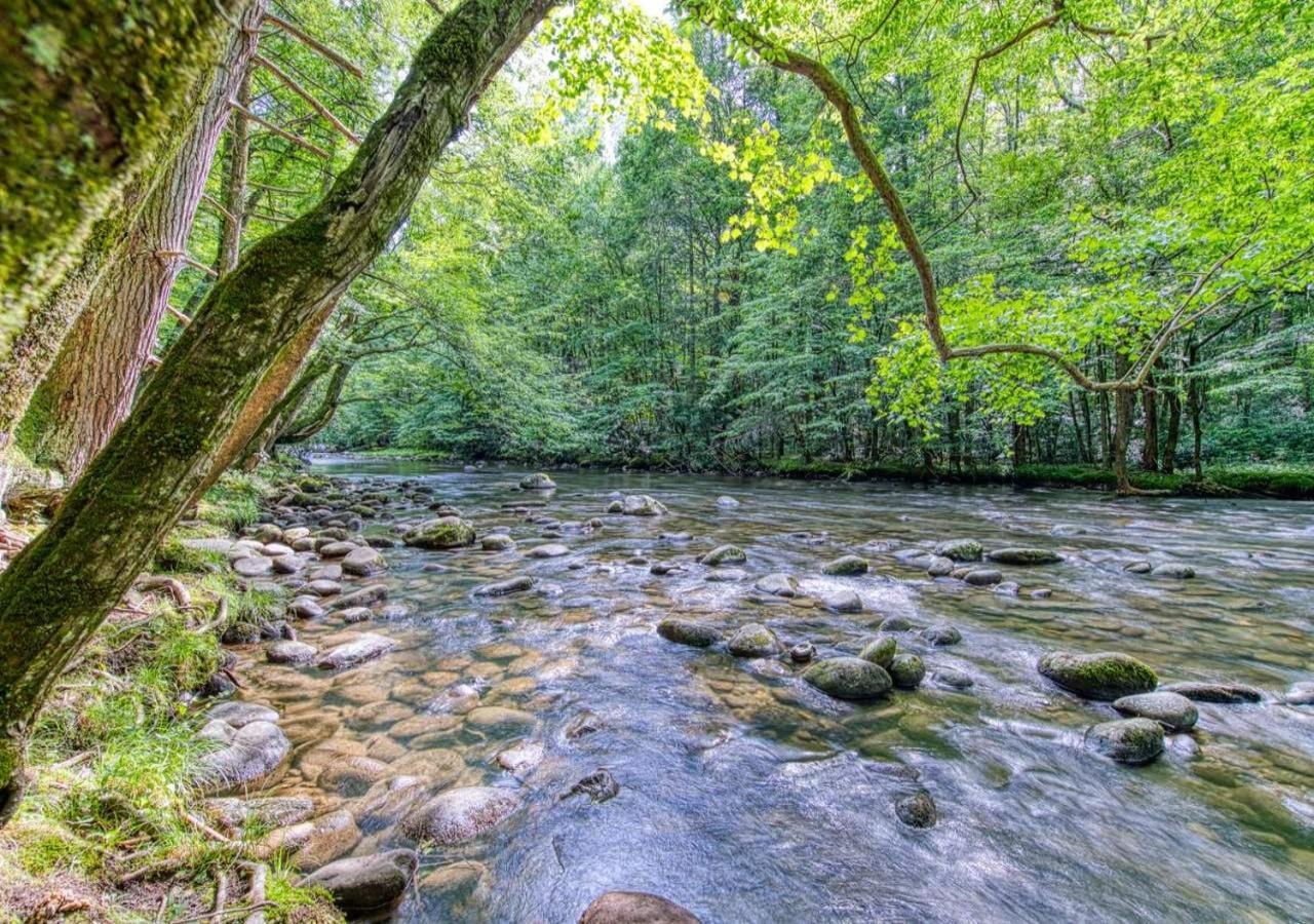 The Grand Orchard Lodge - Gatlinburg, Tn Екстериор снимка